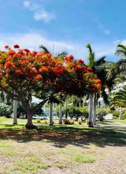 Escale Caraibes Apartment Anse Marcel Bagian luar foto